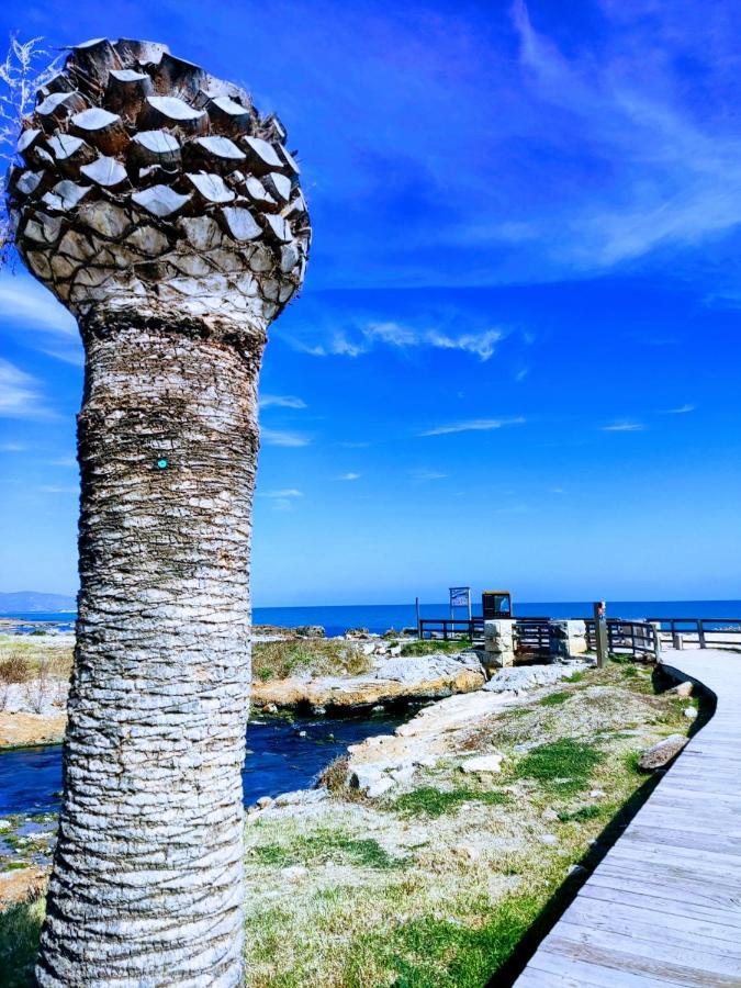 Apartamento Acogedor En Cabanes, Torre La Sal, Costamar I Marina D'Or Venta de San Antonio-Estacion Kültér fotó